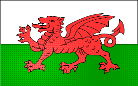 Welsh Flag